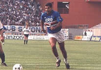 cerezo.jpg (7371 byte)